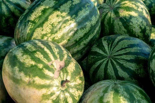 Many large sweet green watermelons are piled up