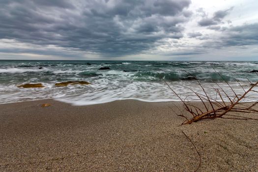 Idyllic seascape with a branch on the shore on at cloudy day
