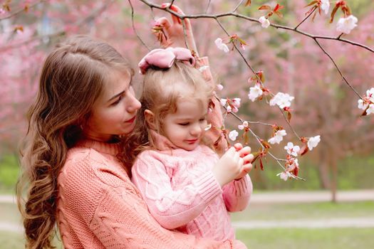 beautiful mother and little girl in the park with blooming pink sakura. Close up