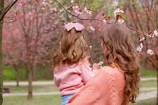 Mother and little daughter in pink clothes , standing in the park under a flowering cherry tree. Back view. copy space
