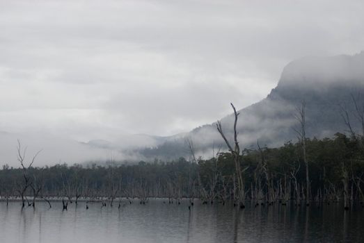 looking out across lake rowallan on a misty morning, tasmania
