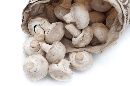 Close up Healthy Fresh Uncooked Mushrooms from a Brown Paper Bag Isolated on White Background.