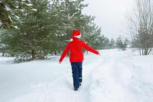 a teenager in a red sweater and a red santa claus hat walks in the winter in the park, near the pines in the snow.View from the back. copy space