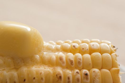 Hot grilled sweet corn with a dollop of melting butter, close up view of the kernels and butter over a neutral beige background with copyspace