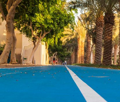 Jogging and cycling tracks at the park.