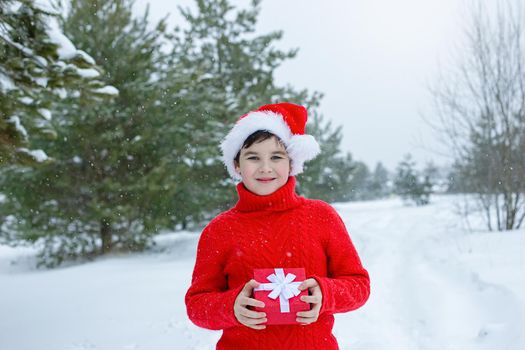 Portrait of smiling teenager in a red sweater and a red santa claus hat stands in the winter in the park, near pine trees in the snow, hold a red gift box. Copy space