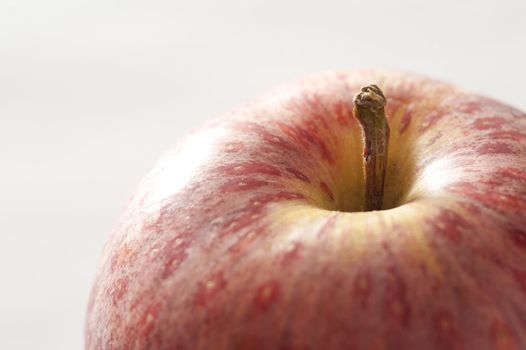 Selective focus macro view of a dried brown apple stalk on a fresh red apple over a white background