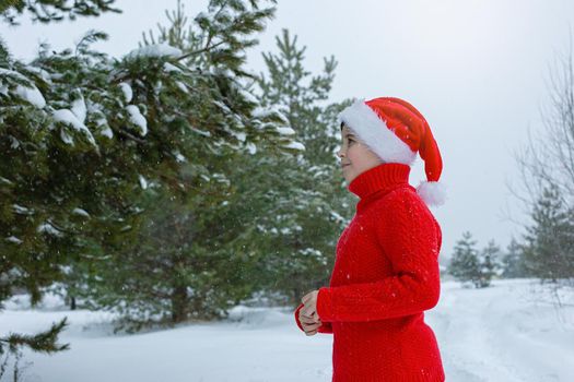teenager in a red sweater and a red santa claus hat stands in the winter in the park, near pine trees in the snow. Copy space