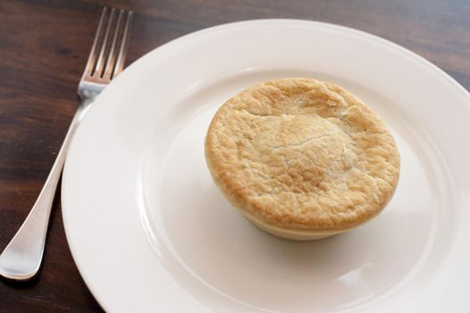 Freshly baked meat pie with a golden pastry crust served on a plain white plate for a snack or lunch