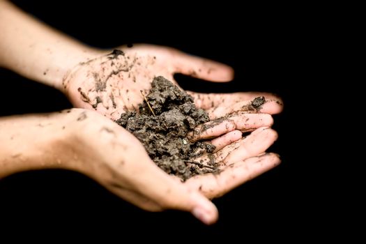 Close up of hands of a farmer holding new fresh soil after rain in his hands and showing to the camera.