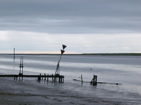 coastal estuary environment, mudflats forming the intertidal zone