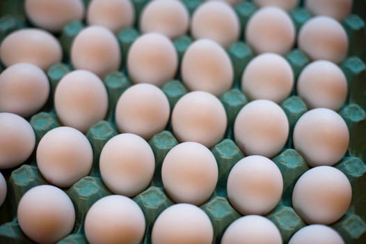 High angle close-up of white chicken eggs, in a carton cardboard