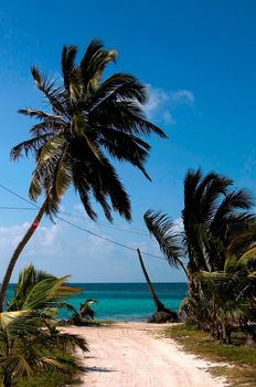 Landscapes and seascapes of Belize