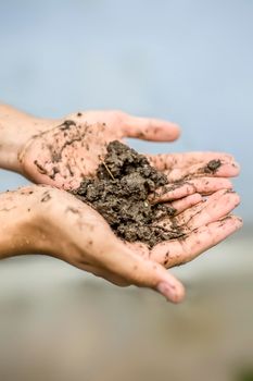 Close up of hands of a farmer holding new fresh soil after rain in his hands and showing to the camera.