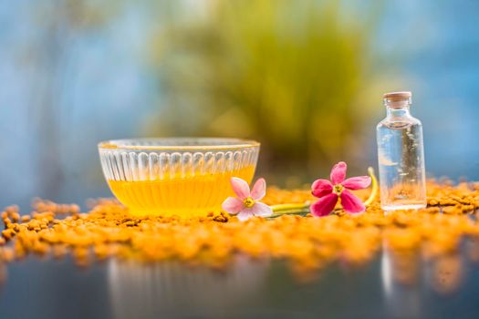 Raw fenugreek seeds on the wooden surface with some coconut oil and its paste in a glass bowl used as the remedy of dandruff.Famous natural method.