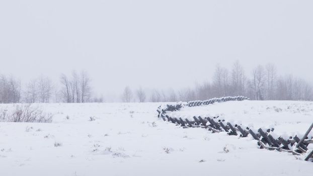 Field covered with snow at the Great Teton national park.