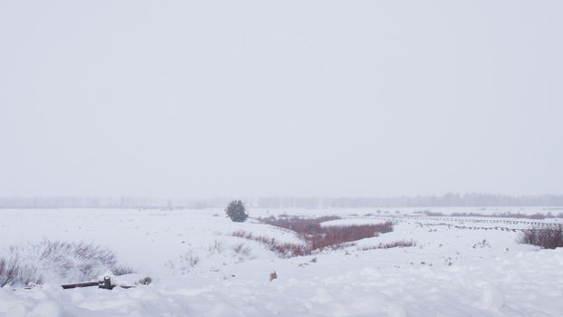 Field covered with snow at the Great Teton national park.