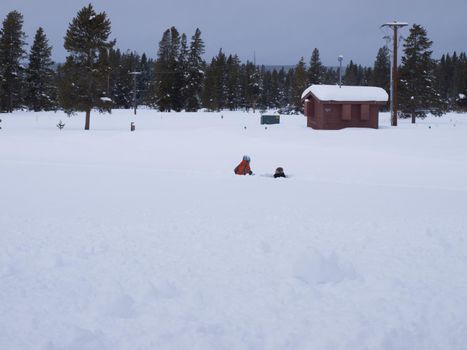 Kids playing in the snow at the Great Teton national park.