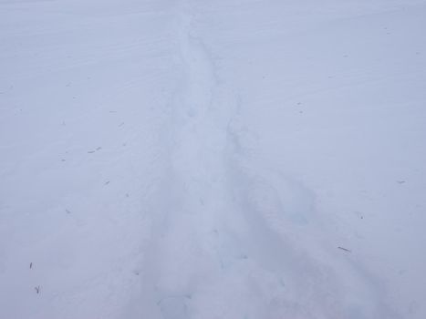 Human trail in the fresh snow.