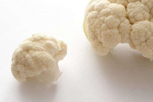 Fresh white cauliflower in a close up view of the flower head and a small loose floret ready to prepare for dinner, over white with copyspace