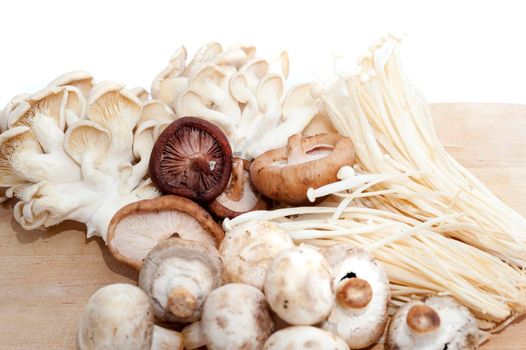 Variety of fresh edible fungi or mushrooms used as a delicacy and flavouring in cooking including shitake, oyster and agaric