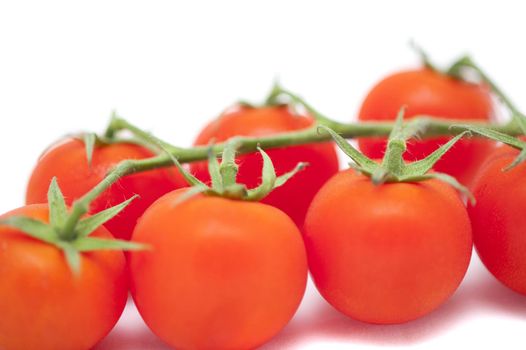 Close up Healthy Fresh Red Tomatoes on a Stem Isolated on White Background.
