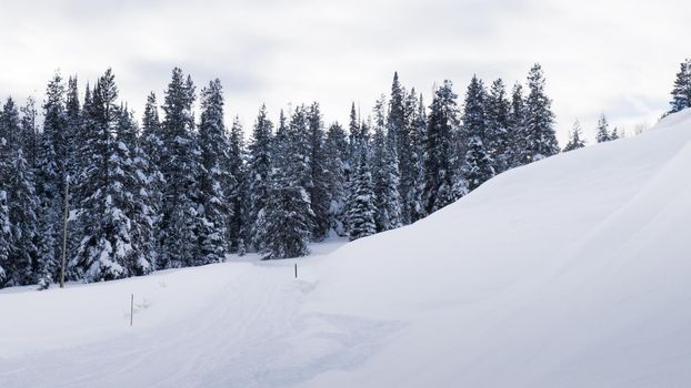 Snow mobile trail at the Jacksone Hole, WY.