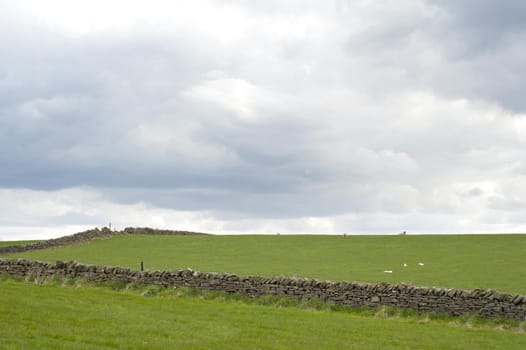 Green agricultural fields with a rustic stone wall and grazing livestock under cloudy skies