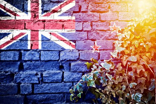 New Zealand grunge flag on brick wall with ivy plant sun haze view, country symbol concept 

