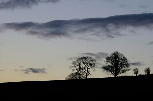 winter trees and rolling english hills