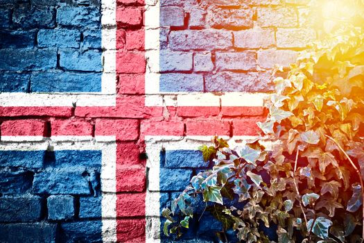 Iceland grunge flag on brick wall with ivy plant sun haze view, country symbol concept 

