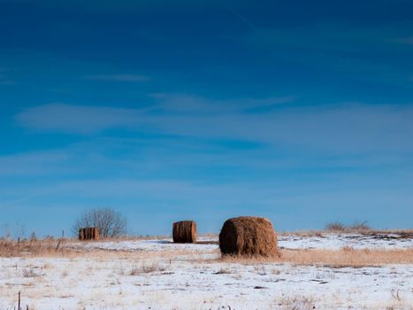 Hay on the farm.