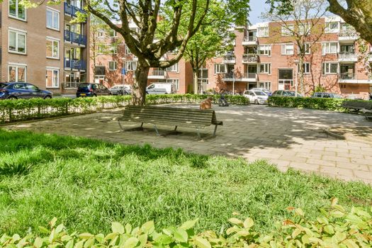 View of street near building with beauty of vegetation outside