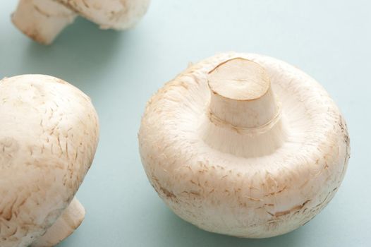 Two fresh raw Agaricus bisporus mushrooms, the most common cultivated mushroom of fungi on the market widely used in savory cuisine
