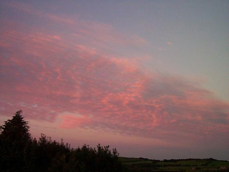 Vivid pink sunset over the trees and mountains lighting up a bank of cloud as the sun sinks over the horizon