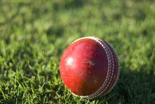 a red leather traditional cricket ball