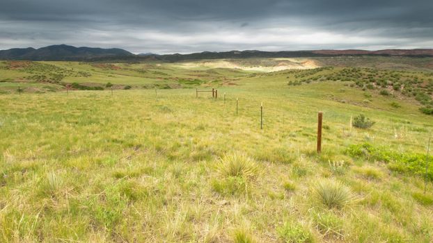 Foothill landscape in Fort Colling, Colorado.