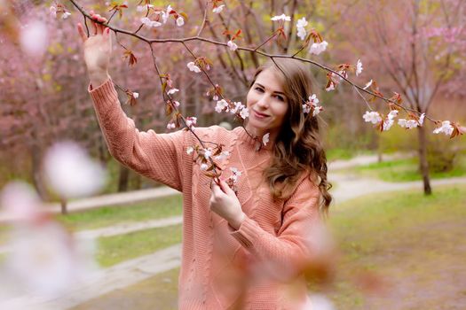 Pretty woman standing under pink blossom branch Sakura . Copy space