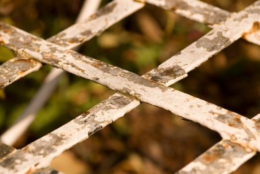 an old garden plant climber trellis with flaking paint