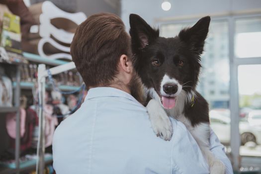 Rear view shot of a male vet carrying adorable happy dog. Close up of a cute healthy puppy looking happily to the camera with its tongue out. Lovely dog on medical checkup at veterinary clinic