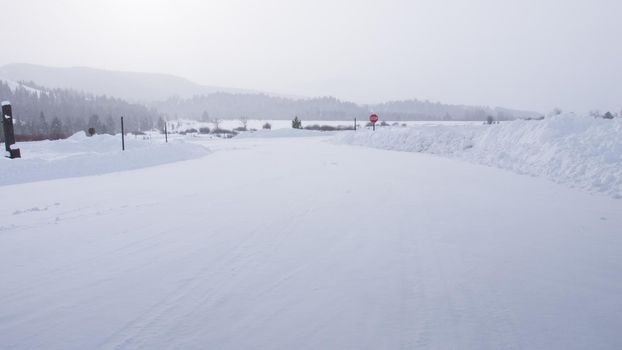Empty winter road.