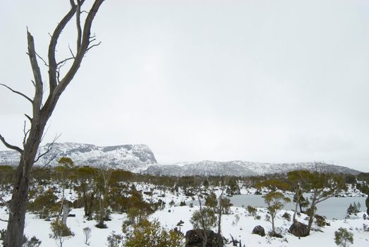 a winter view looking across solomons jewels towards herrods gate, king davids peak and mount ophel