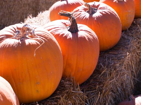 Pumpkins sitting on a bail of straw.