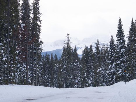 Empty winter road in the Great Teton national park.