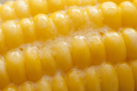 Macro full frame close up view of melted butter on hot sweet corn kernels