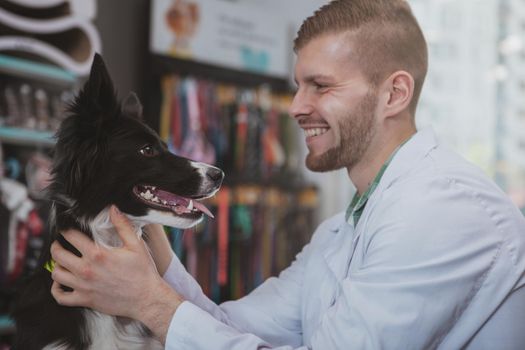 Handsome young male veterinarian smiling joyfully, sitting face to face with beautiful healthy dog. Cheerful vet doctor petting adorable puppy after medical examination