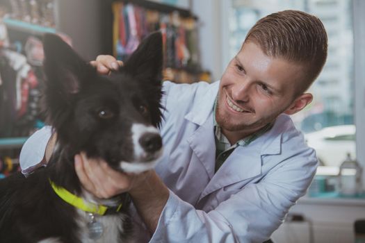 Close up shot of adorable black canine having ear examination by handsome male vet doctor. Attractive cheerful veterinarian enjoying working with animals, examining ears of a cute dog