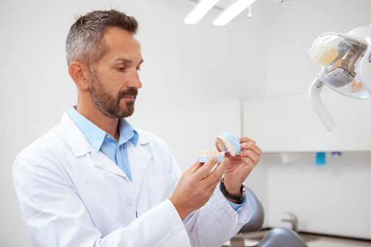 Attractive mature male dentist examining jaw mold, working at his clinic