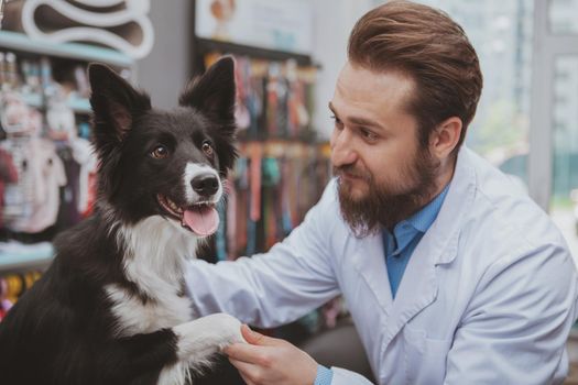 Young male vet holding paw of a cute happy dog, working with animals at his veterinary clinic. Handsome bearded veterinarian examining paws of an adorable black puppy