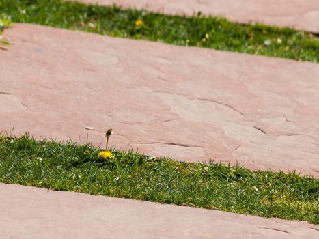 Flagstone path.